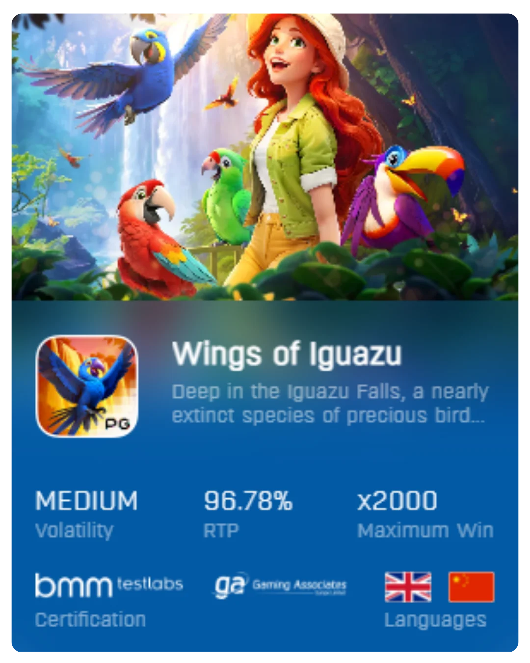 Wings of Iguazu